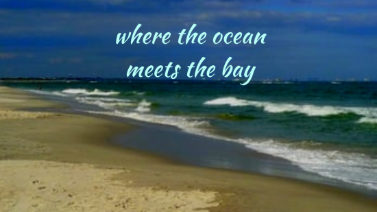 Where The Ocean Meets the Bay