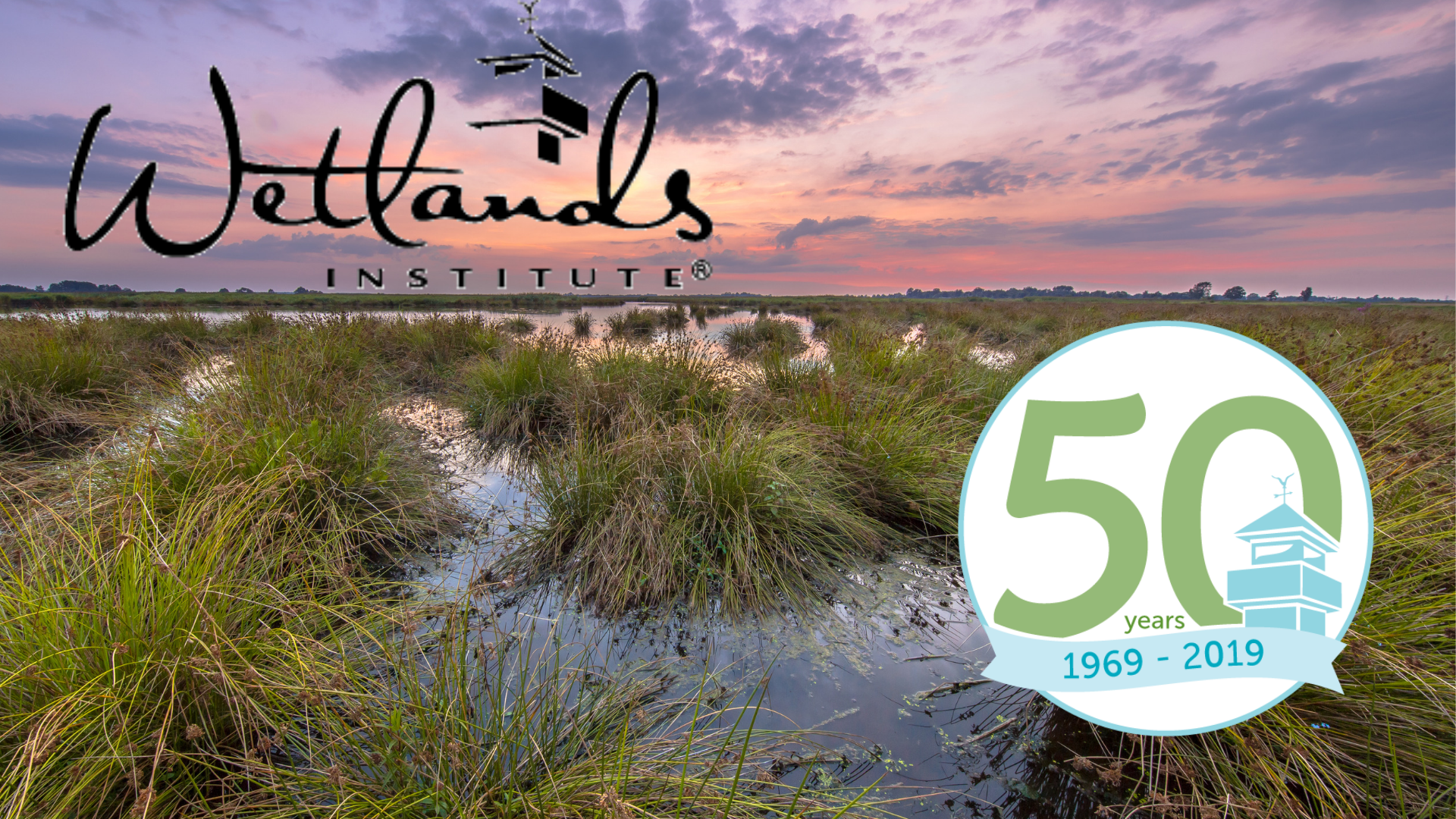 The Wetlands Institute Celebrates 50 Years of Coastal Conservation